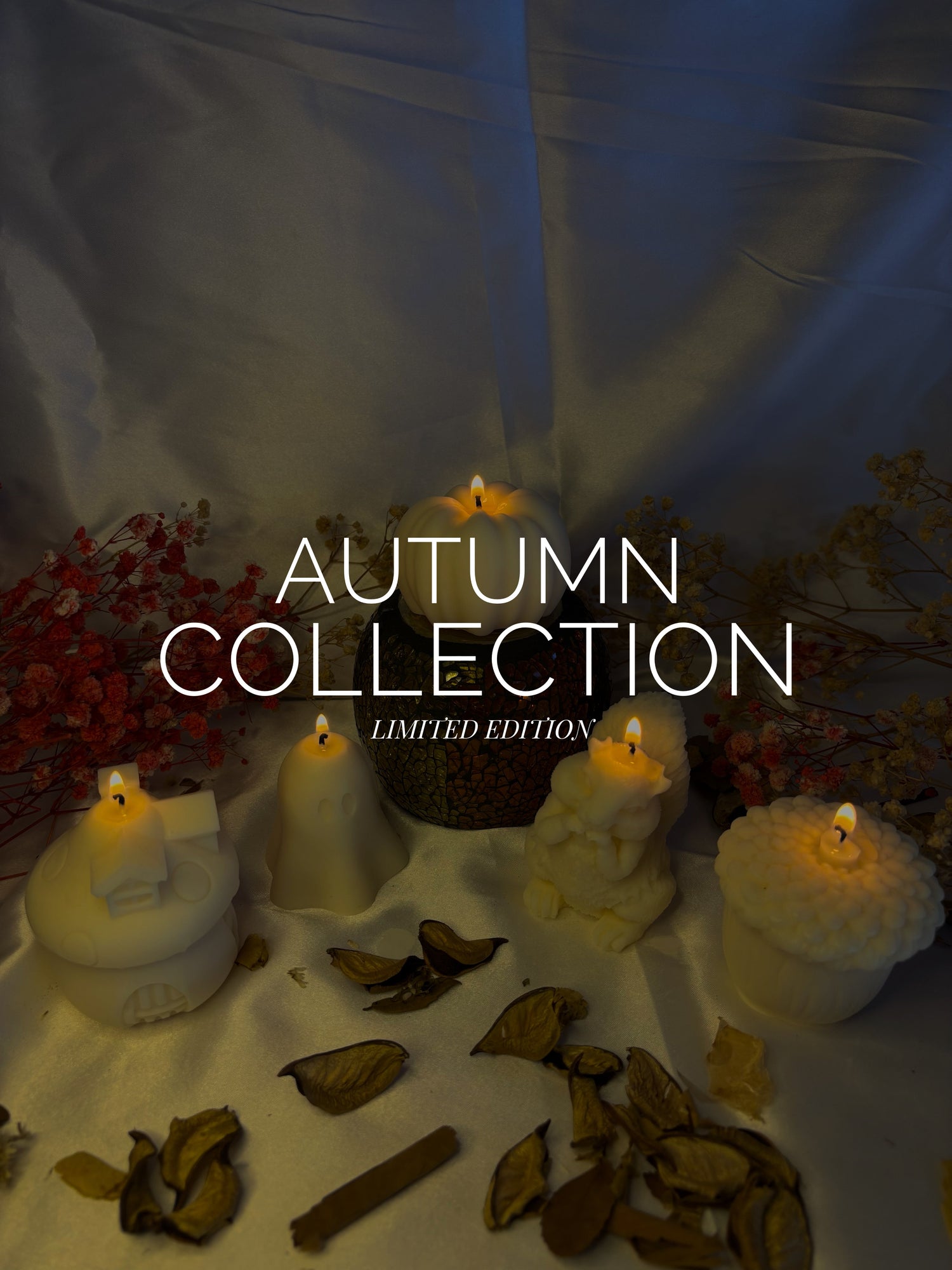 Collezione Autunnale