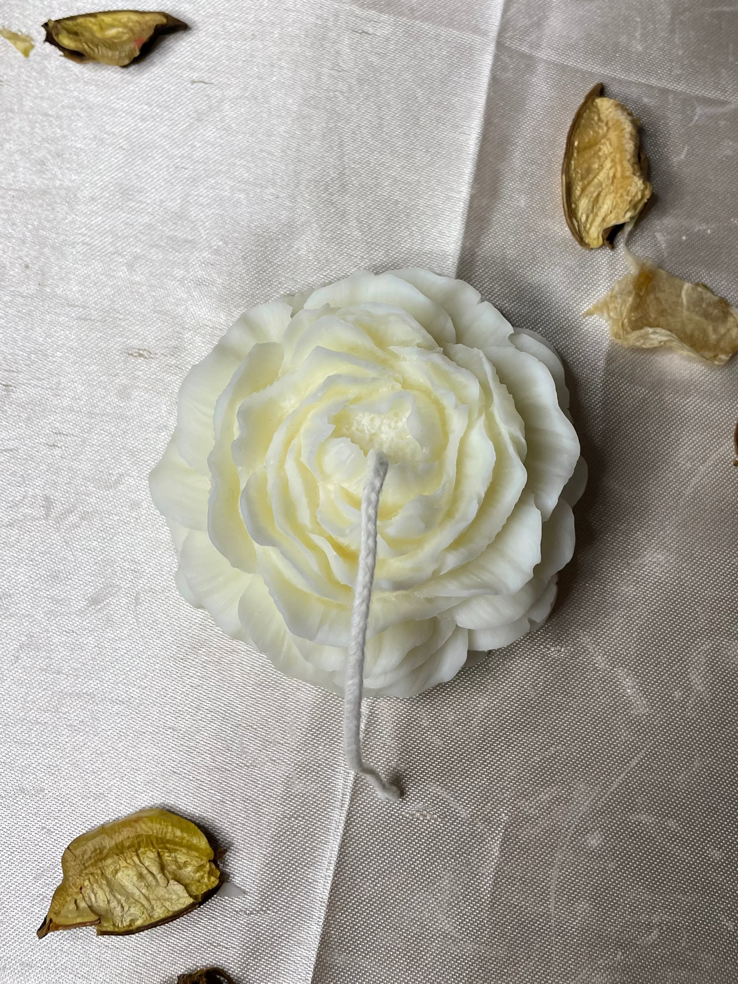 Peonia