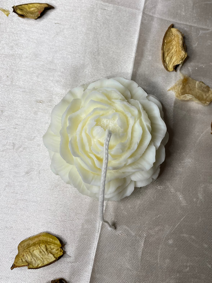 Peonia