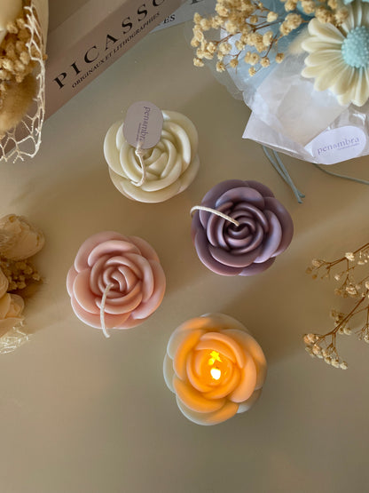 Cuore L/Rosa L