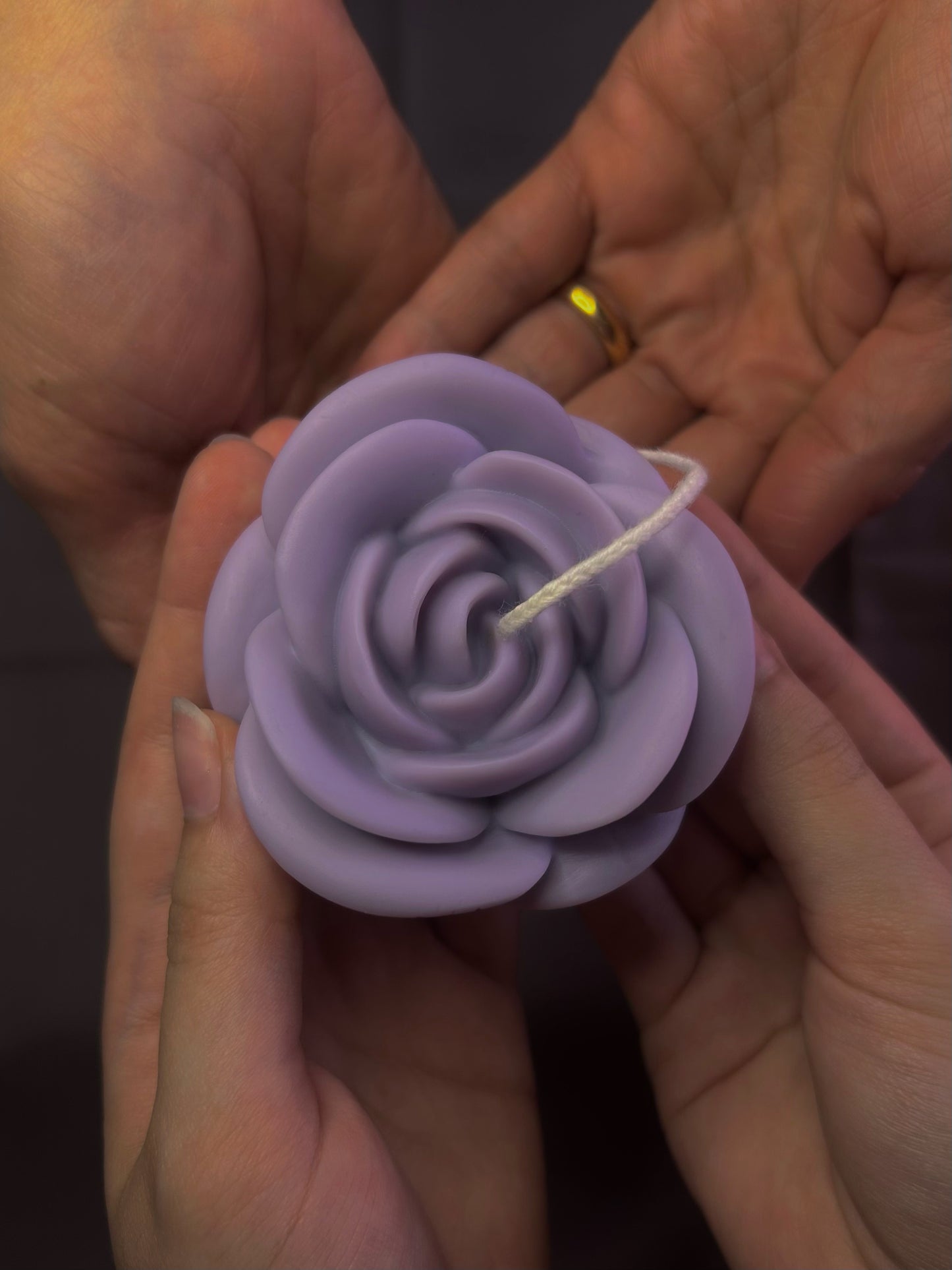 Cuore L/Rosa L